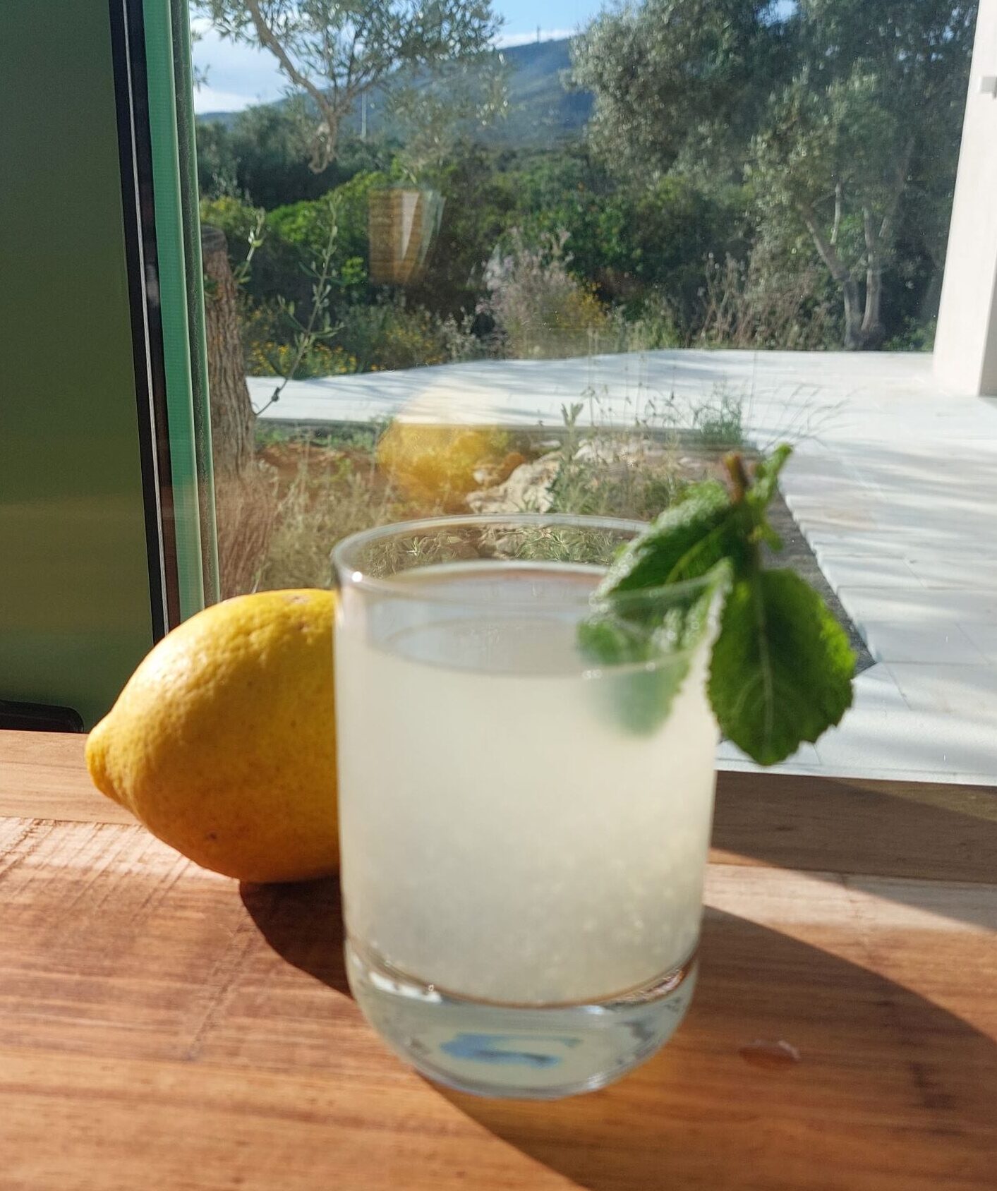 Spot Local Speciality coffee café in algarve