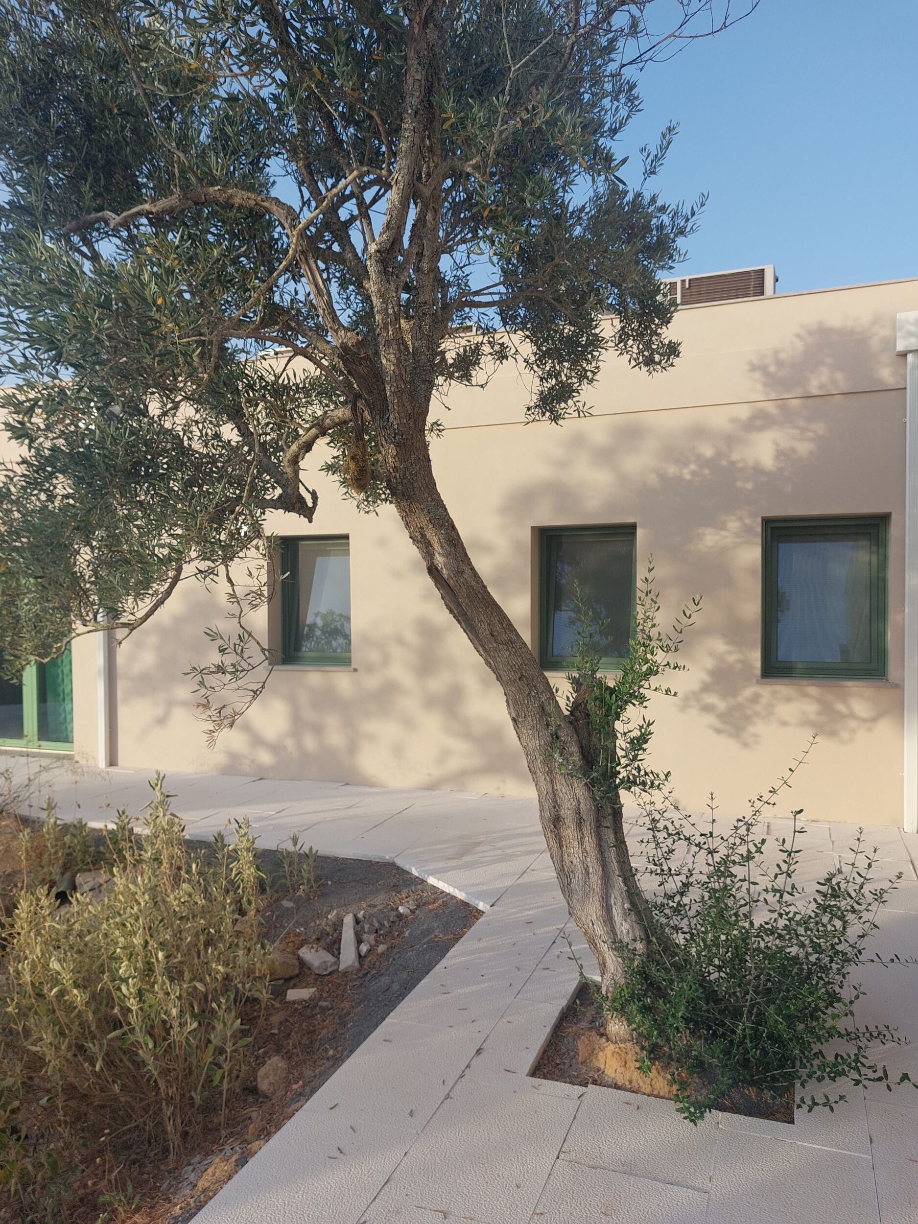 Spot Local Boutique stay in the Algarve